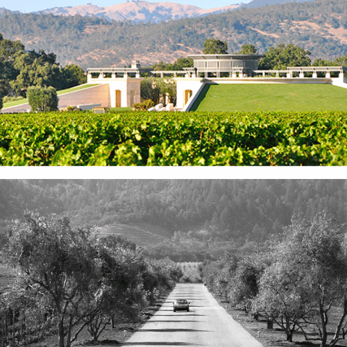 Opus One: La Fusion Perfecta de Napa y Burdeos