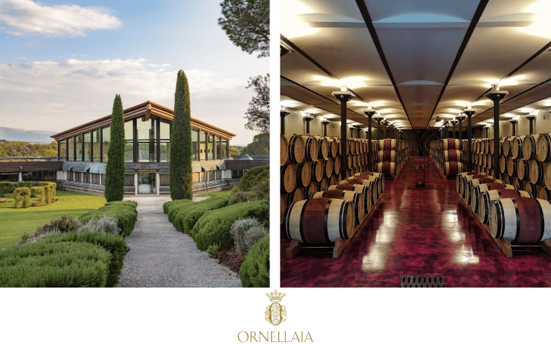 Ornellaia: Excelencia y Sofisticación en la Toscana