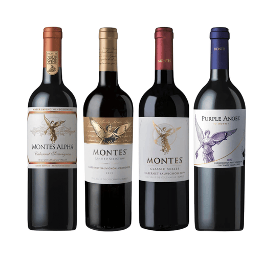 Chile – Perfil Andino