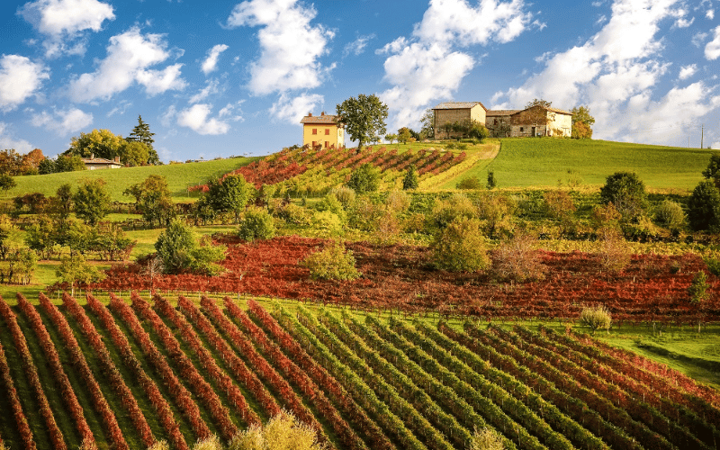 Poletti: Lambrusco auténtico de Emilia-Romaña