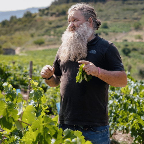 Raul Perez: Vanguardia del Vino Español