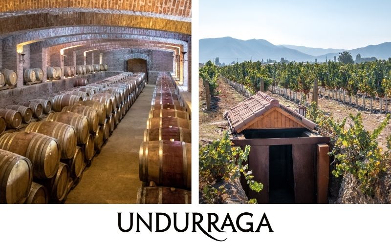 Undurraga: Innovación y Tradición Chilena