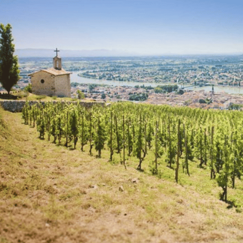 Artesaní y Excelencia en Vouvray