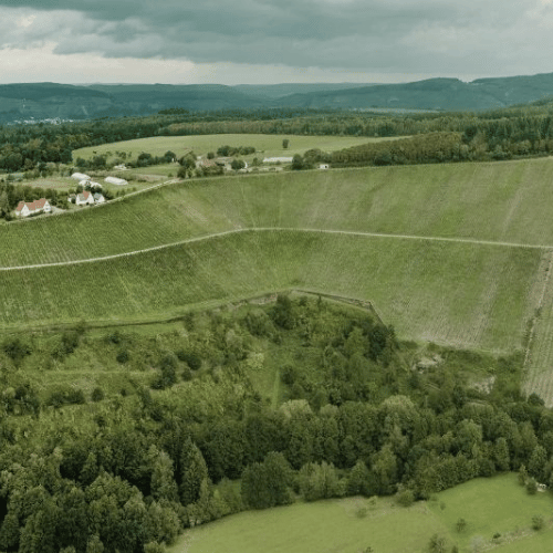 Domäne Serrig: Riesling eléctrico del Saar