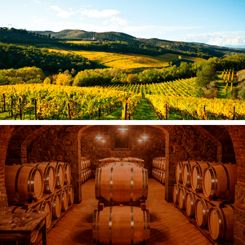 Lamole &amp; Lamole: Tradicion Toscana en Cada Botella