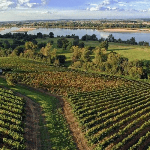 Historia y Distincion en Bourgogne