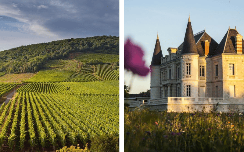 Chateau Pichon Longueville Comtesse De Lalande: Nobleza en Cada Copa