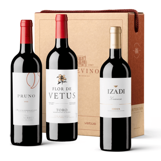 ESTUCHE 3 BOTELLAS ARTE VINO