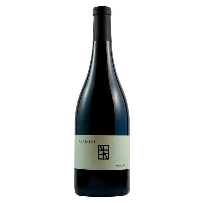 PARALELO ENSAMBLE COLINA 750 ml - Enoterra Wine Market