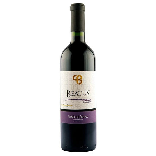 🍀PASO DE SERRA BEATUS MALBEC 750 ml - Enoterra Wine Market